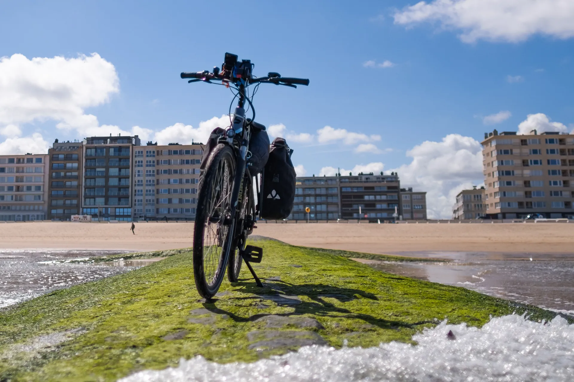 Bergamont E-Horizon Elite